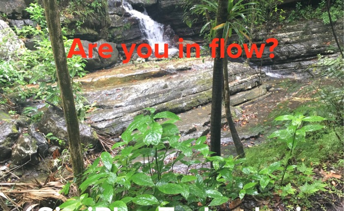 Are you in flow?